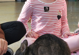 Dziewczynka głaszcząca kangurka.