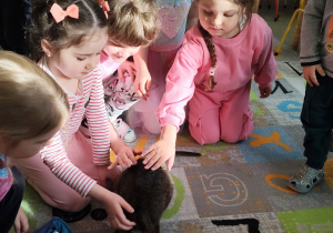 Dziewczynki głaszczące małego kangurka.