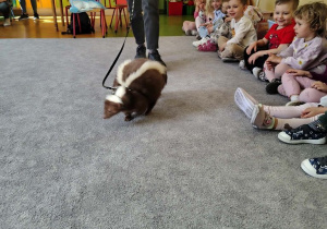 Dzieci z grupy misie i motylki siedzące na dywanie podczas warsztatów.