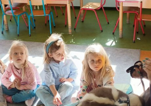 Dzieci z grupy misie i motylki siedzące na dywanie podczas warsztatów.